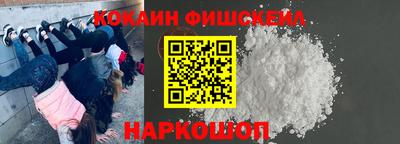 дмт Славгород