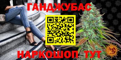 дмт Славгород