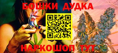 дмт Славгород