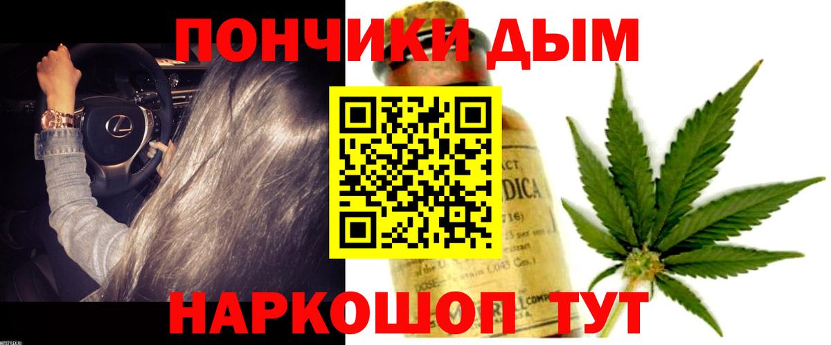 Конопля конопля  Конопля семена  Бошки Шишки план  Алушта  Вход с VPN  Каннабис THC 21% 
